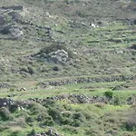 度假居 Paros Apartments Cottage *